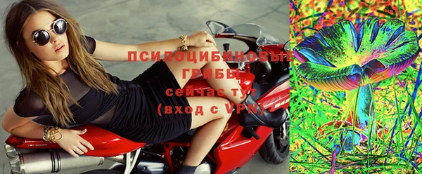 стаф Алзамай