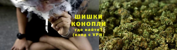 гидропоника Кодинск