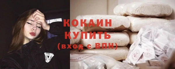 стаф Алзамай