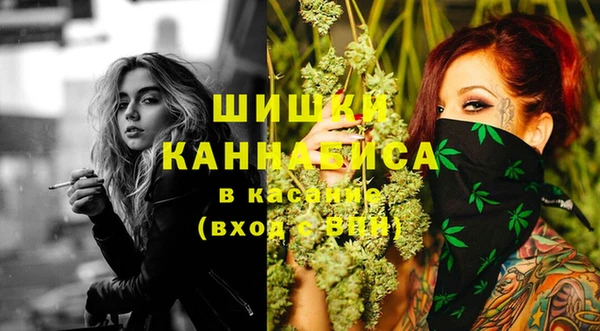 стаф Алзамай