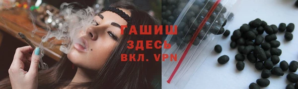 стаф Алзамай