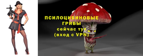 стаф Алзамай