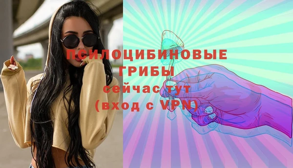 прущие грибы Алексин