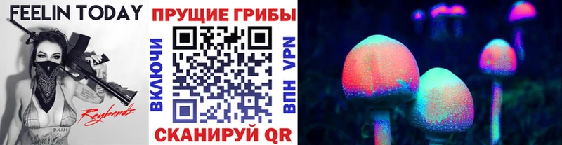 продажа наркотиков  Кызыл  MEGA онион  Галлюциногенные грибы Cubensis 